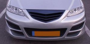 Front grille with net.